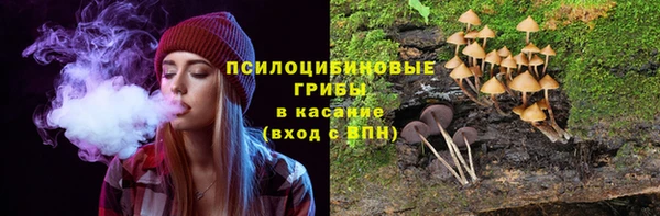 эйфоретик Алзамай